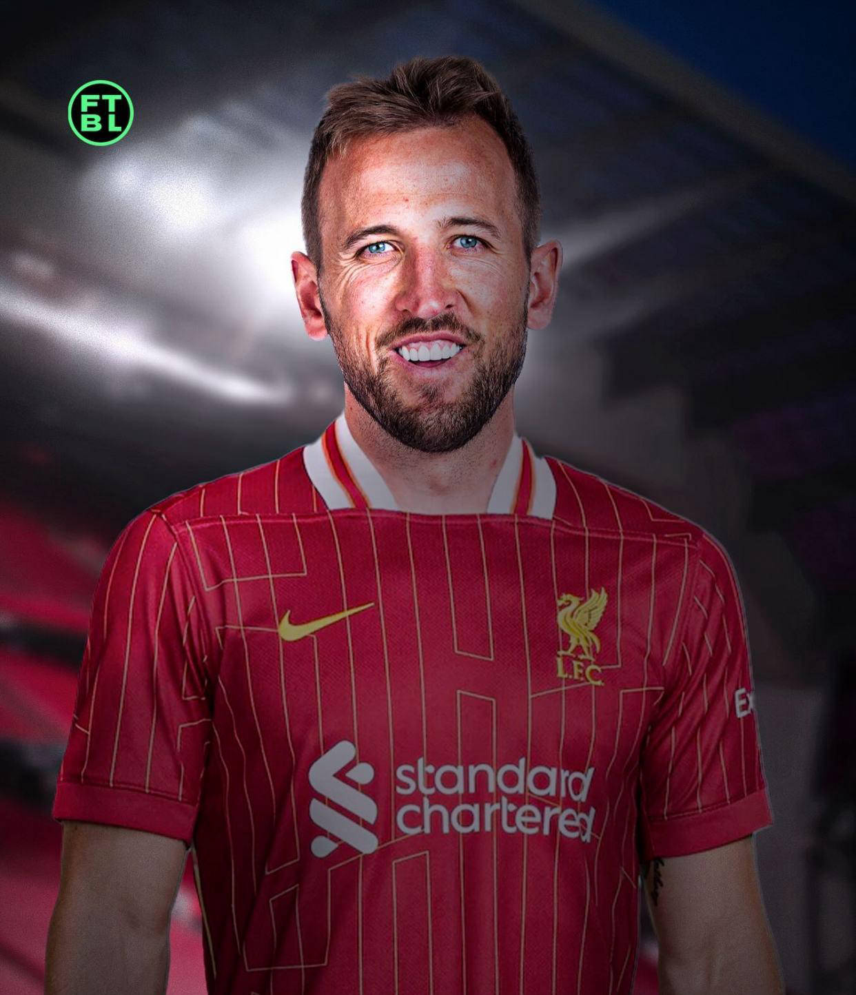 足的重要球 足的重要球