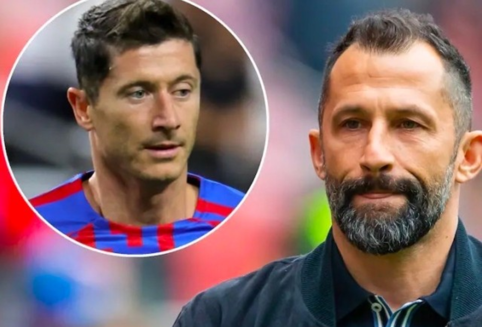 公众对运动 公众对运动